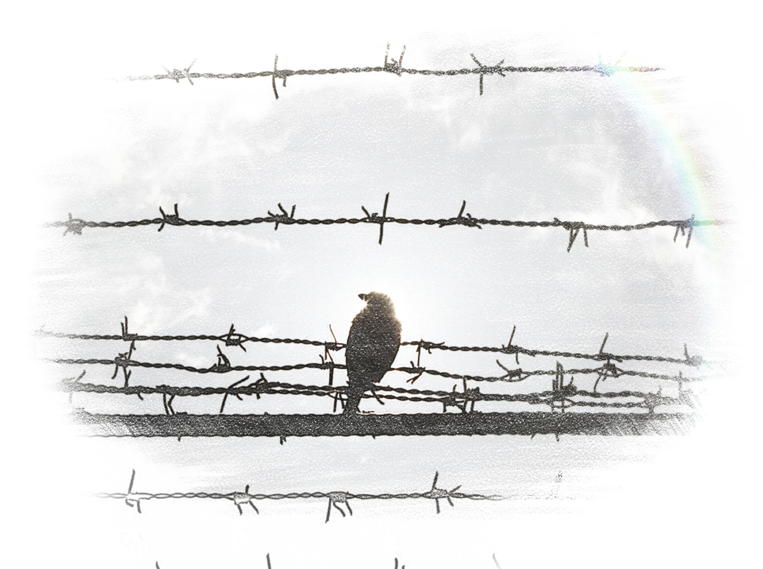 Адвокат грабежу, разбою Адвокат угроза имуществу